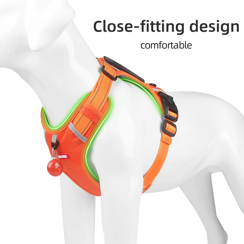 Petsify™ AirStride