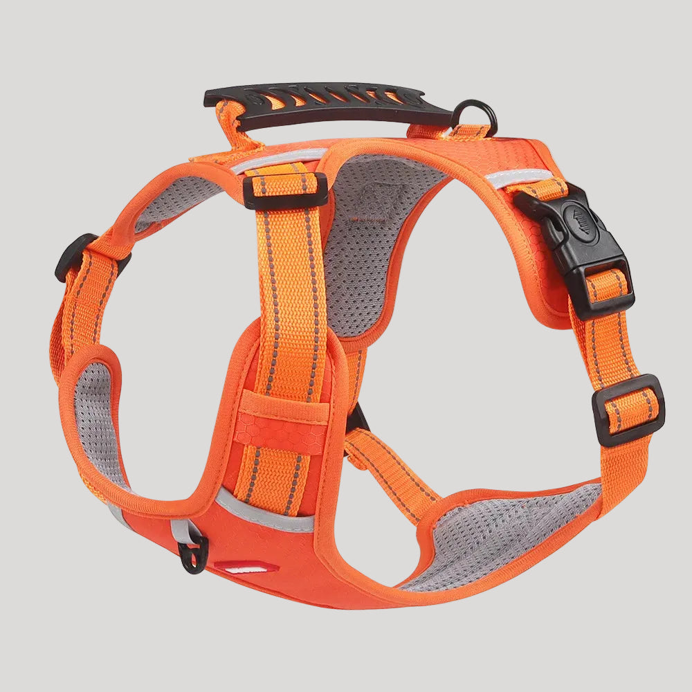 Petsify™ AirStride