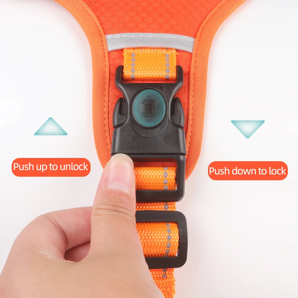 Petsify™ AirStride
