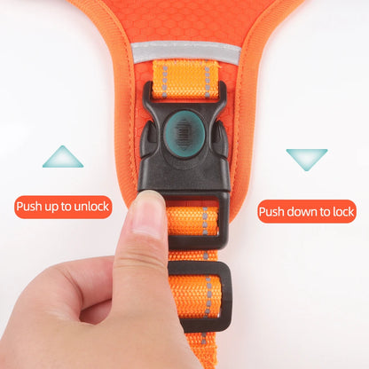 Petsify™ AirStride
