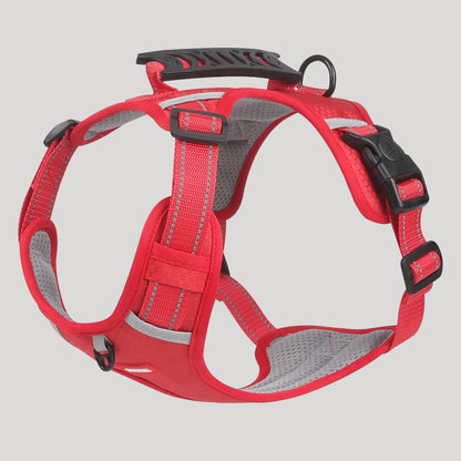 Petsify™ AirStride