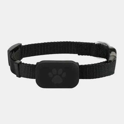 Petsify™ FindMy Pet Tracker