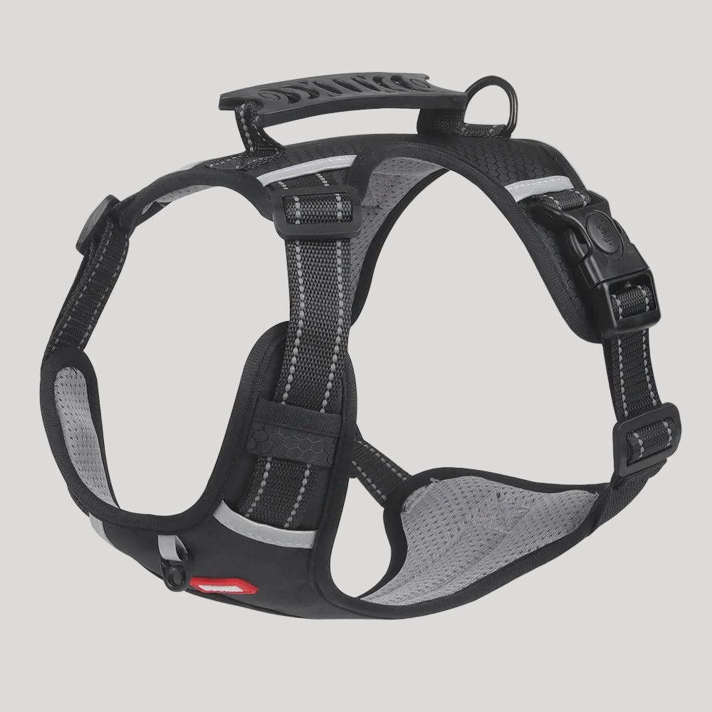 Petsify™ AirStride