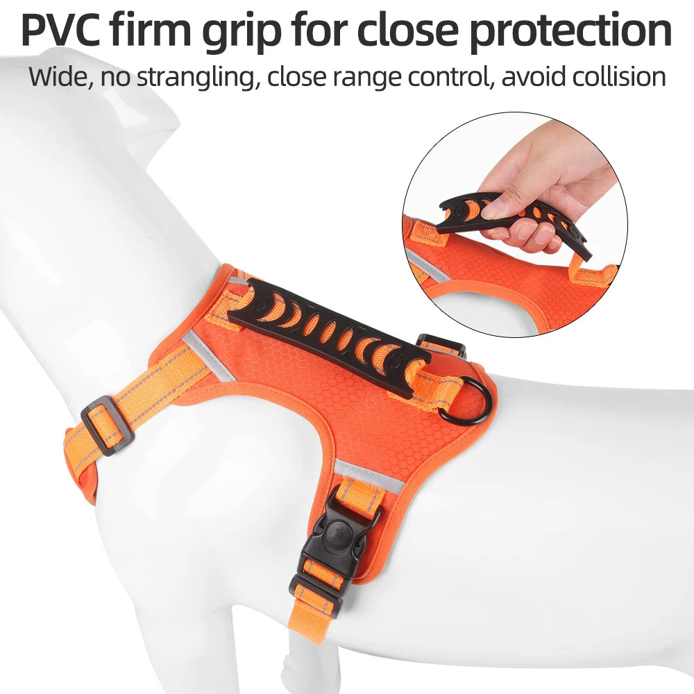 Petsify™ AirStride