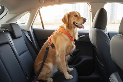 Petsify™ GuardianRide: Adjustable Universal Pet Safety Belt