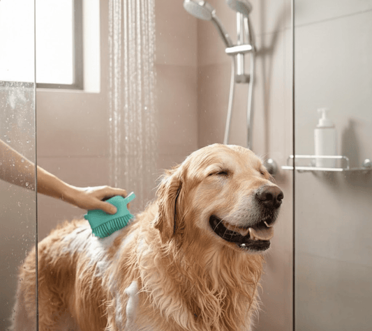 Petsify™ HydroGlide: The Ultimate 2-in-1 Bath & Massage Brush