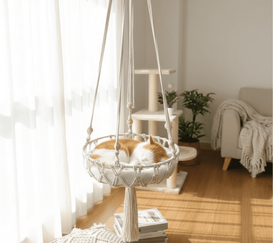 Petsify™ CloudSwing: The Artisan Hand-Woven Cat Hammock