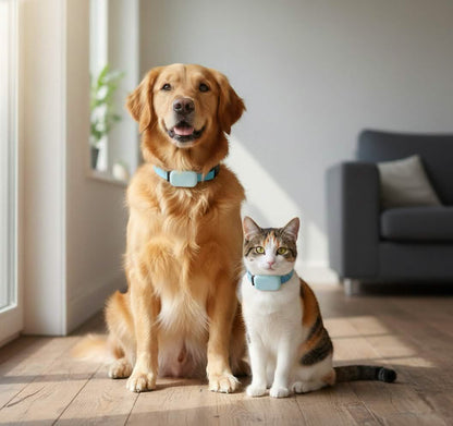 Petsify™ FindMy Pet Tracker