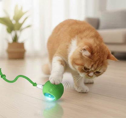 Petsify™ SmartChase