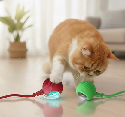 Petsify™ SmartChase
