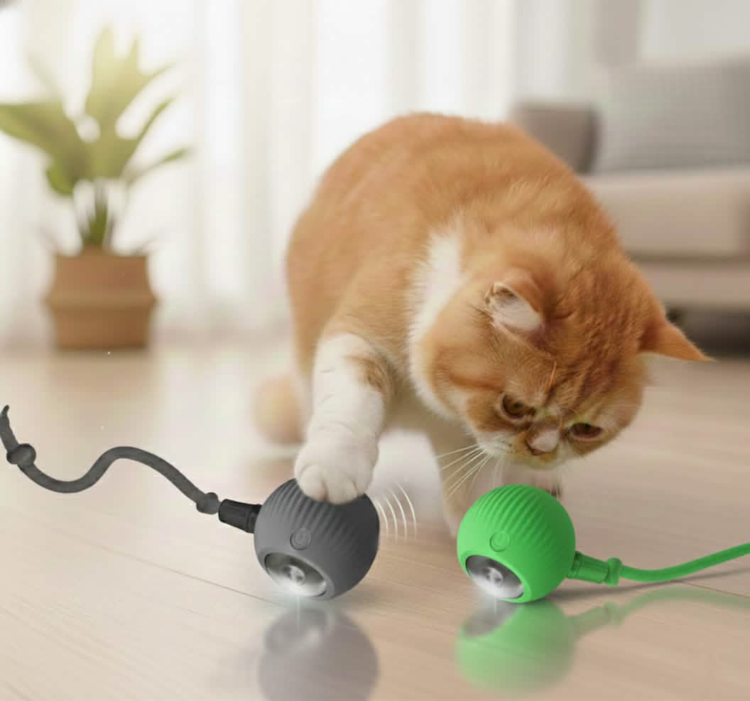 Petsify™ SmartChase