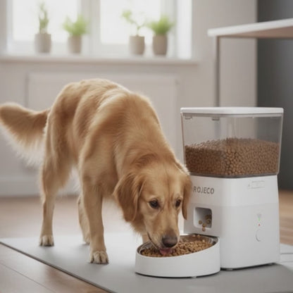 Petsify™ Nexus SmartFeed: WiFi Pet Nutrition System