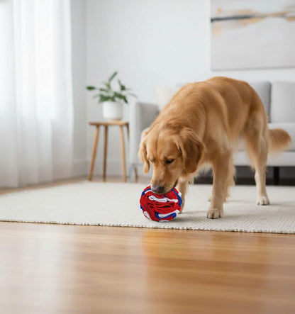 Petsify BrainBoost™: The Ultimate Mental Workout for Your Dog